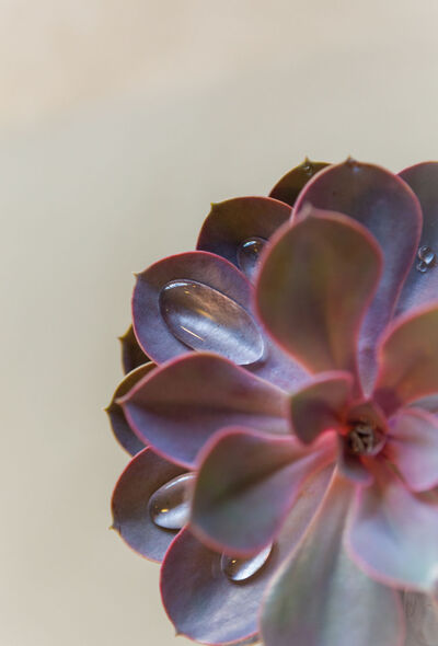 UNSERE  <br />BILDER
