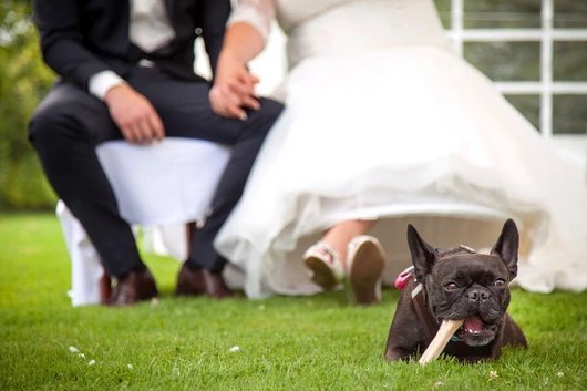 d15851-221-suenderhuse-photographie-melle-wedding.jpg