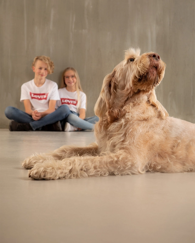 20-suenderhuse-photographie-melle-fotografin-familie-family-familienshooting-freunde-friends.JPG