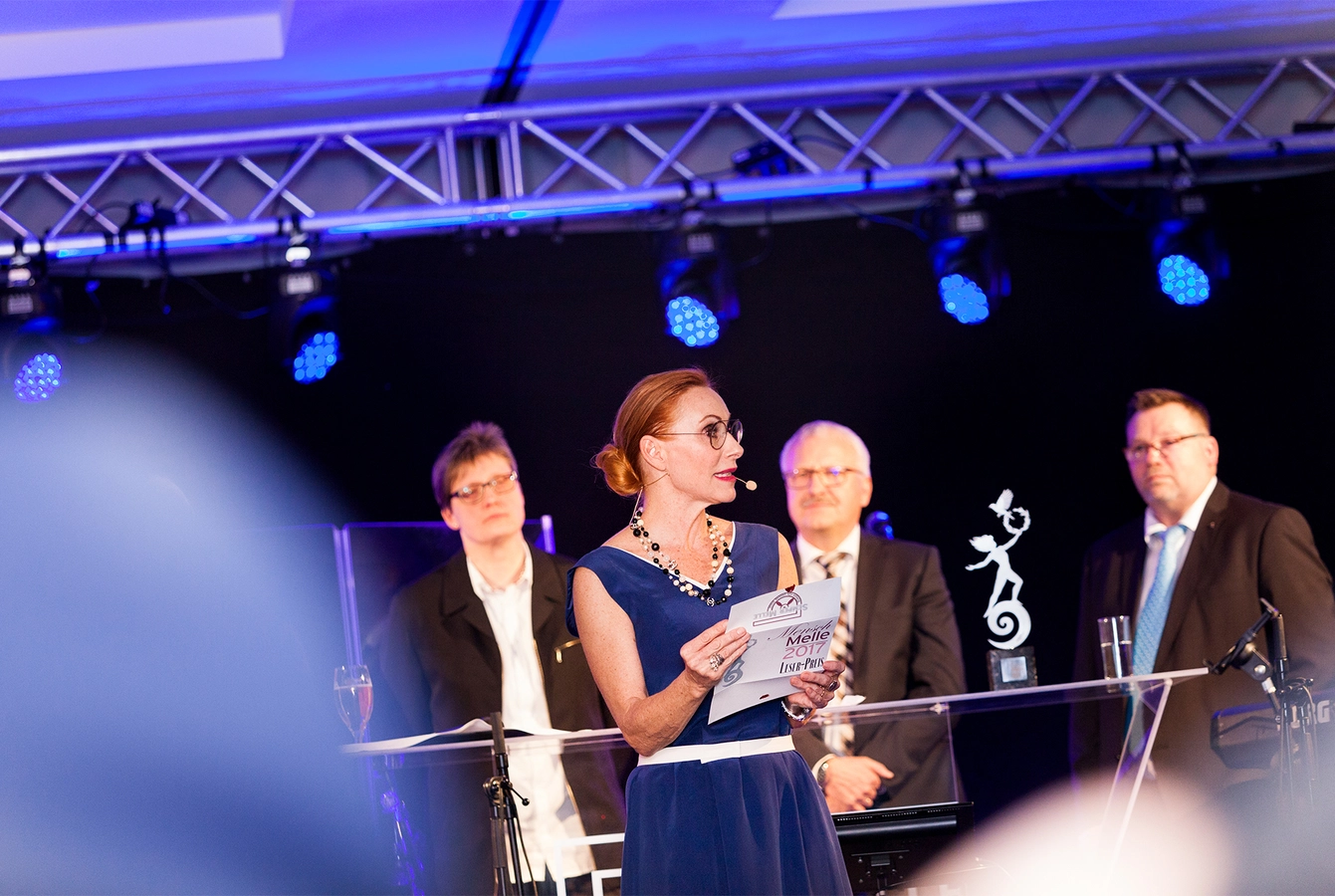 35-suenderhuse-photographie-melle-fotografin-event.jpg